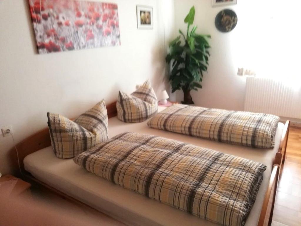 Appartment Haring Hollenstein an der Ybbs Ngoại thất bức ảnh